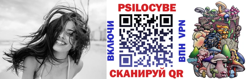 Псилоцибиновые грибы Cubensis  хочу наркоту  Чебоксары 