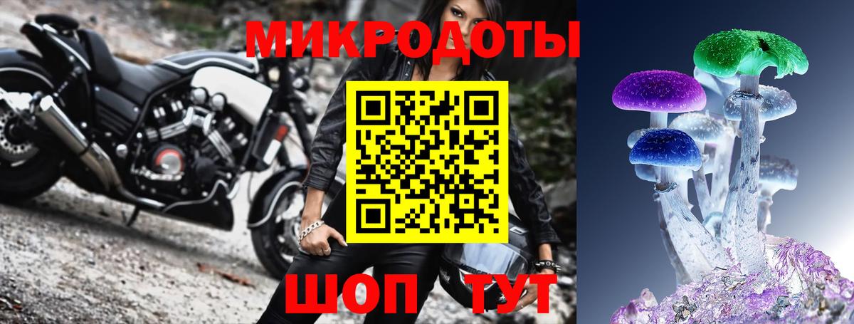 Псилоцибиновые грибы GOLDEN TEACHER Чебоксары