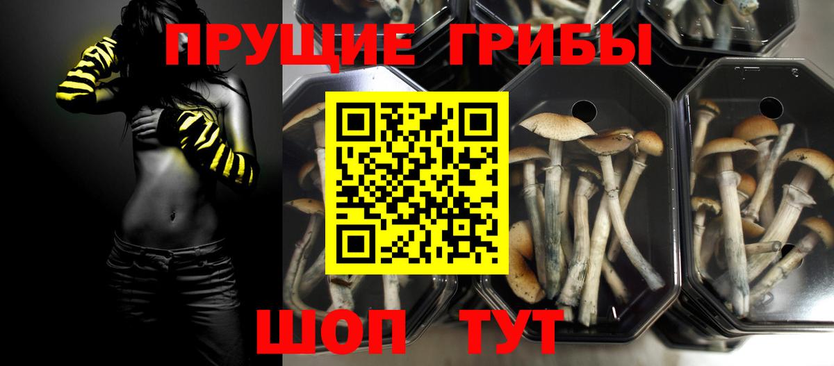 Чебоксары  Псилоцибиновые грибы Psilocybe  Псилоцибиновые грибы MAGIC MUSHROOMS  Вход с VPN 