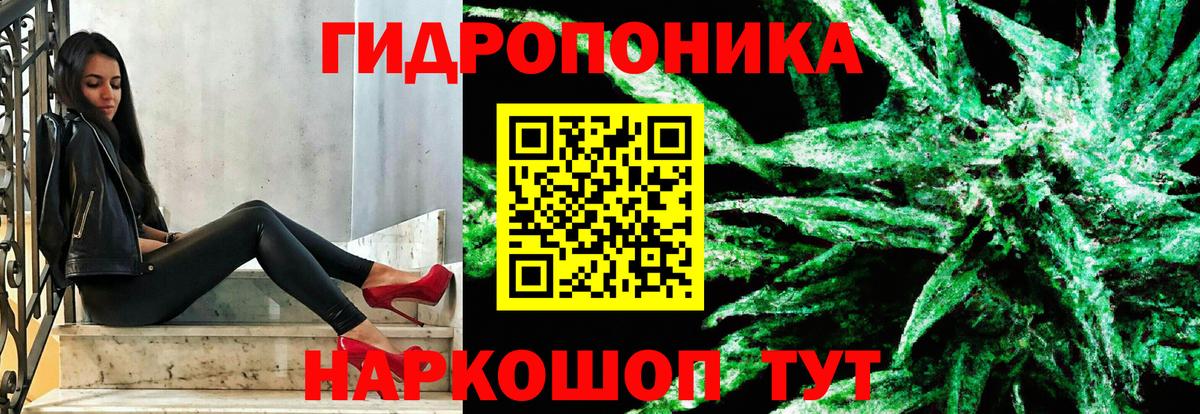 Чебоксары  Бошки Шишки OG Kush  Бошки Шишки OG Kush  МАРИХУАНА THC 21%  Конопля конопля  Вход с VPN 